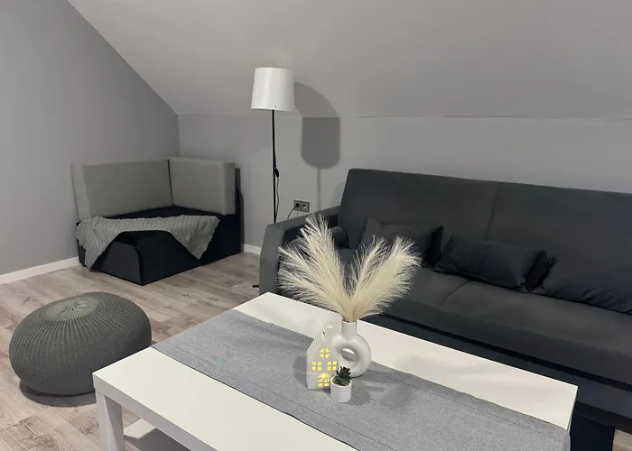 Relax Point Fuele Fule